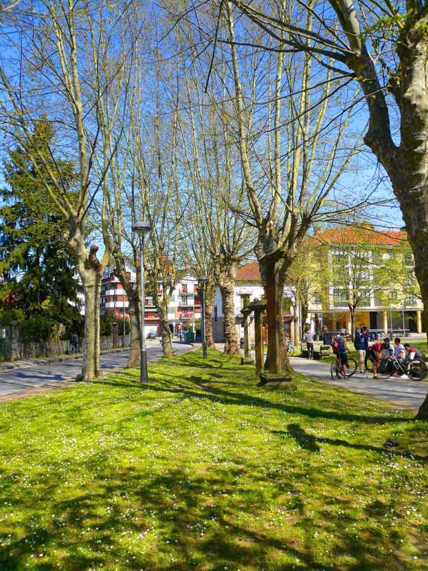 Ein Park mit grünem Gras und Bäumen, Menschen, die zu Fuß und mit dem Fahrrad unterwegs sind, mit Gebäuden und einem klaren blauen Himmel im Hintergrund.
