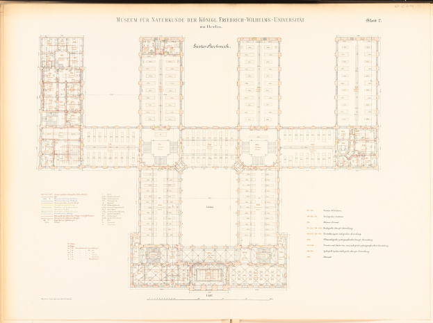 Offenes Buch mit detailliertem Grundriss eines Naturkundemuseums, einschließlich Räumen, Fluren, Fenstern und Türen, mit begleitendem Text, der den Aufbau und die Merkmale des Gebäudes beschreibt.