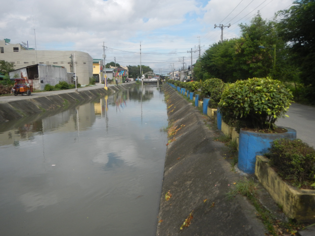 Flutstraße in der Stadtmitte mit Wasser auf der Straße, Bäumen und Pflanzen auf der rechten Seite, Fahrzeugen auf der linken Seite, Gebäuden und Strommasten mit Drähten im Hintergrund und einem bewölkten Himmel oben.