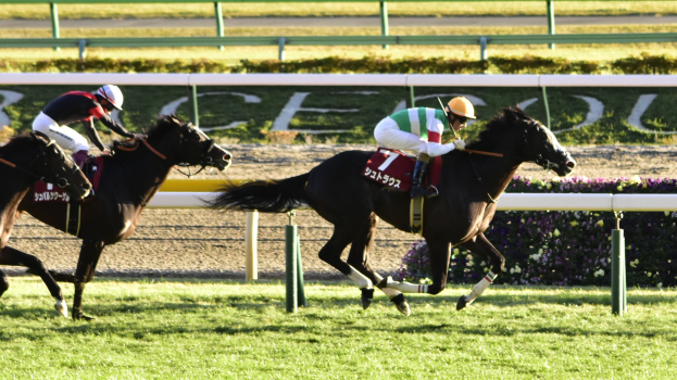 Zwei Jockeys in Helmen auf Pferden auf einer Rennbahn, umgeben von Grün, mit einer Absperrung und einer Tafel im Hintergrund.