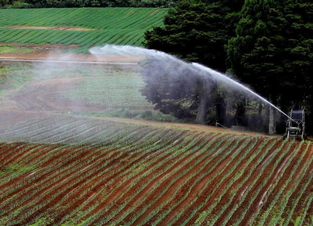 Sichere Erträge bei frühsommerlicher Trockenheit: 8 Tipps für Landwirte