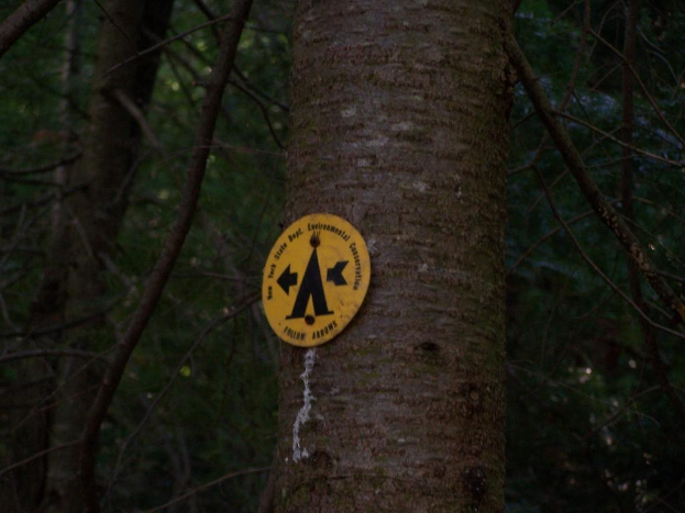 Ein Baum mit einer Warnschild daran, umgeben von zahlreichen anderen Bäumen im Hintergrund.