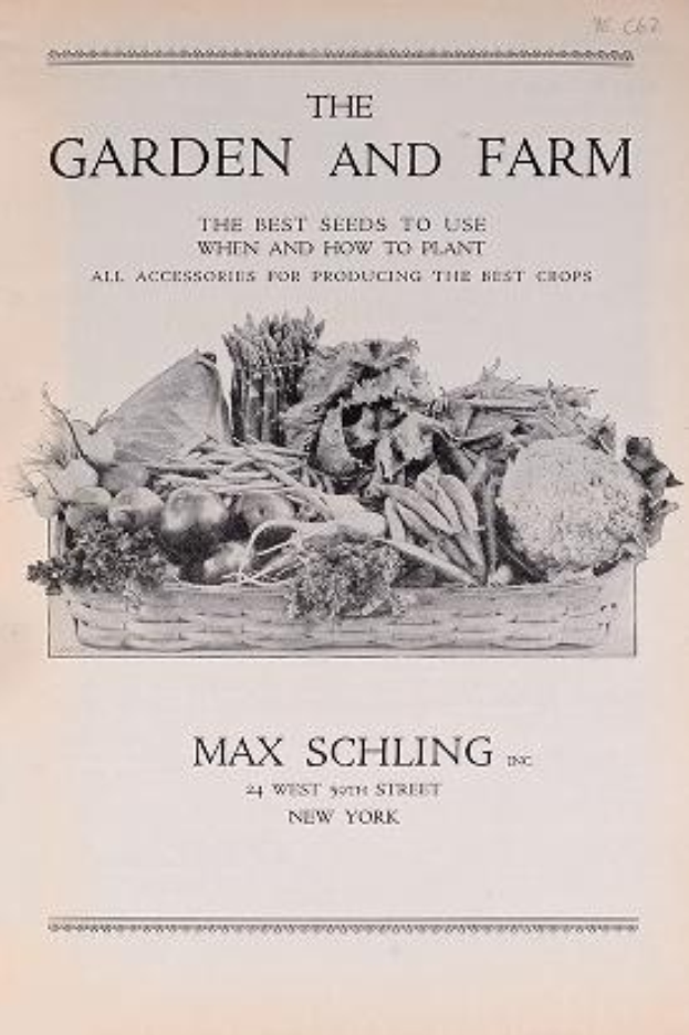 Ein Artikel mit dem Titel "Der Garten und der Hof: Die besten Samen und wann und wie man sie anbaut", der ein überquellendes Körbchen mit Karotten, Kartoffeln, Zwiebeln, Paprika und anderen Gemüsen in einer grünen Landschaft zeigt.