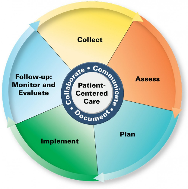 Kreisförmiges Diagramm mit der Bezeichnung "patientenorientierte Versorgung" mit vier farbigen Abschnitten, die jeweils mit einer spezifischen Versorgungsbeschreibung beschriftet sind, auf einem weißen Hintergrund.