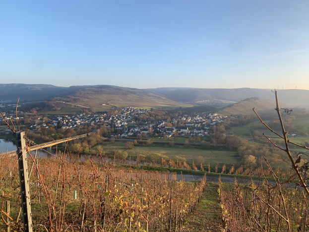 Eine malerische Aussicht auf das Rheintal von einem Hügel aus, mit grünem Laub, Häusern und einer Brücke, die den Fluss überspannt, vor einem blauen Himmel mit welligen Hügeln im Hintergrund.