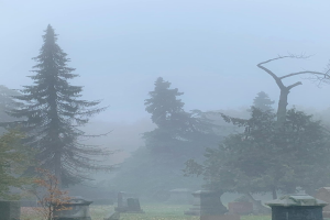 Ein nebliger Friedhof mit mehreren Grabsteinen und Bäumen im Hintergrund unter einem nebligen grauen Himmel.