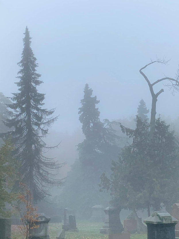 Ein nebliger Friedhof mit mehreren Grabsteinen und Bäumen im Hintergrund unter einem nebligen grauen Himmel.