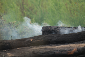 FW-SG: Waldbrand in Solingen