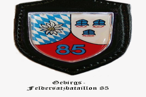 Ein Abzeichen mit der Zahl 85 und deutschem Text unten, das das Logo des bayerischen Fußballteams darstellt.