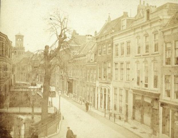Ein altes Foto einer Stadtstraße mit Gebäuden, Straßenlaternen, Autos, Menschen auf dem Gehweg, Geländern, Bäumen und Himmel, mit einem prominenten Baum in der Mitte.