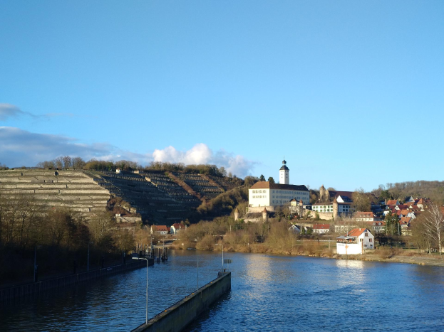 Eine malerische Aussicht auf den Rhein in Deutschland, mit einer Brücke, die den Fluss überspannt, Laternenpfählen an den Ufern, Bäumen und Gebäuden entlang der Flussufer und einem Hügel im Hintergrund bei bewölktem Himmel.