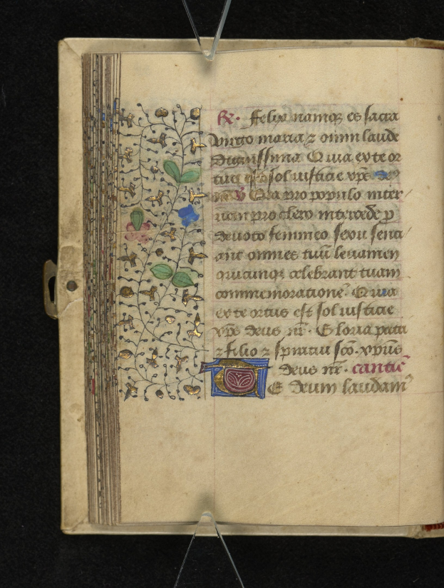 Ein aufgeschlagenes Buch mit einer mittelalterlichen Manuskriptseite, die eine detailreiche, farbenfrohe Blumengestaltung zeigt, umgeben von dichtem Text auf einem dunklen Hintergrund.