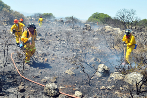 FF Olsberg: Tag der Feuerwehr in Olsberg - Bigge