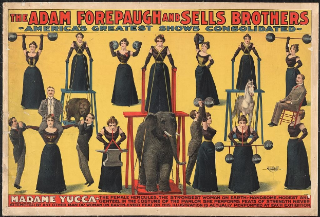 Plakat für Adam Forepaugh und Sells Brothers' America's Greatest Shows Consolidated mit Darstellern auf Hockern und einem Elefanten, mit Text.