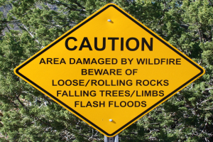 County warns of forest fire danger - and provides tips